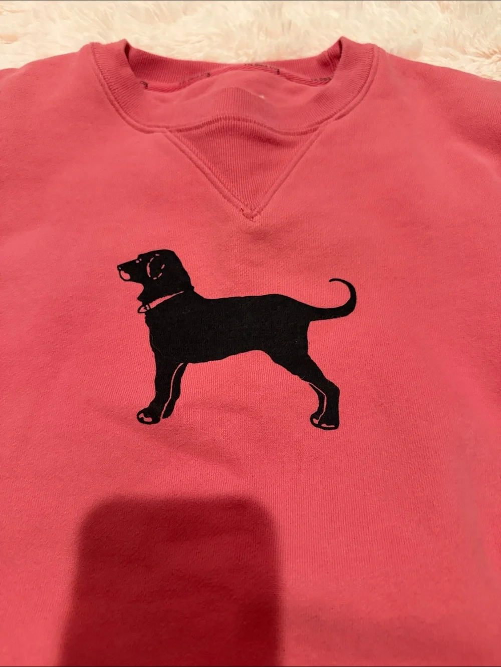 The black dog sweatshirt
